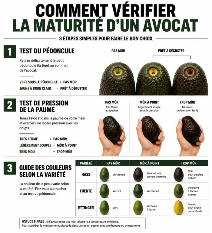 Infographie montrant comment reconnaître un avocat mûr par le test du pédoncule, la pression et la couleur.